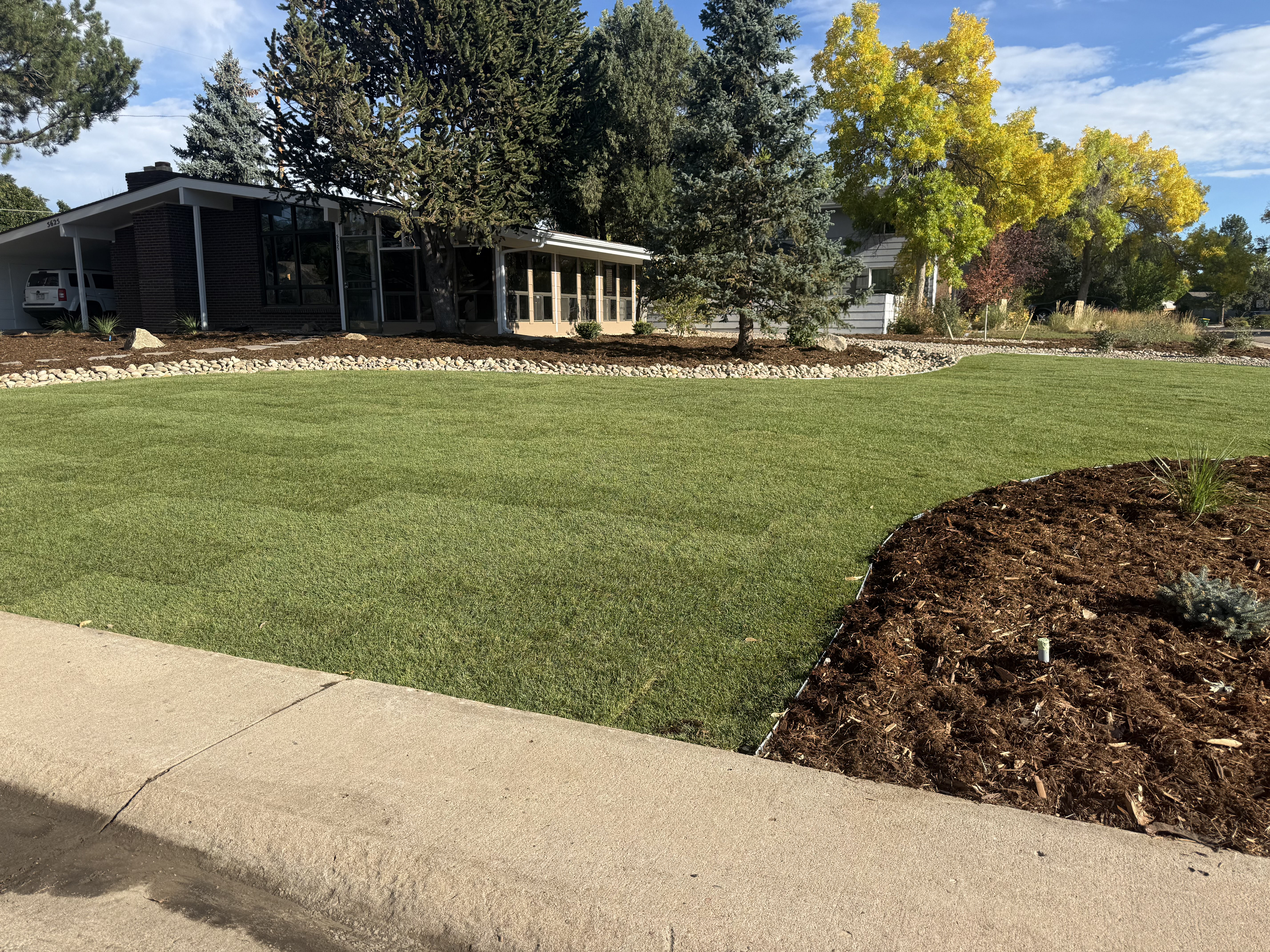Front Yard New Sod Beds